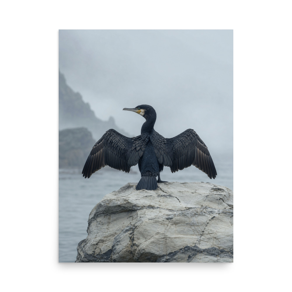Cormorant Stone — wildlife art print by Frame & Field