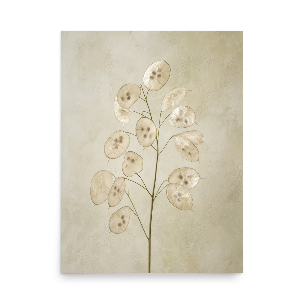 Lunaria Lantern poster