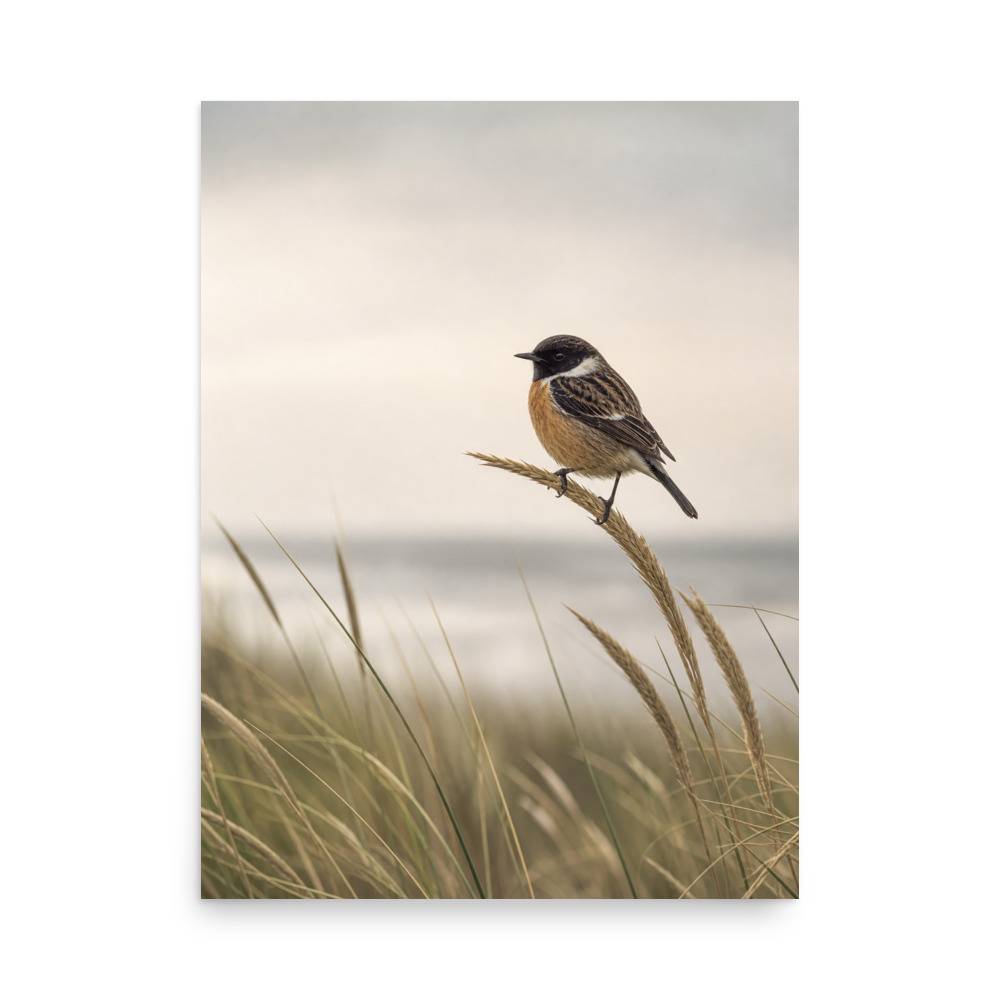 Stonechat Drift poster