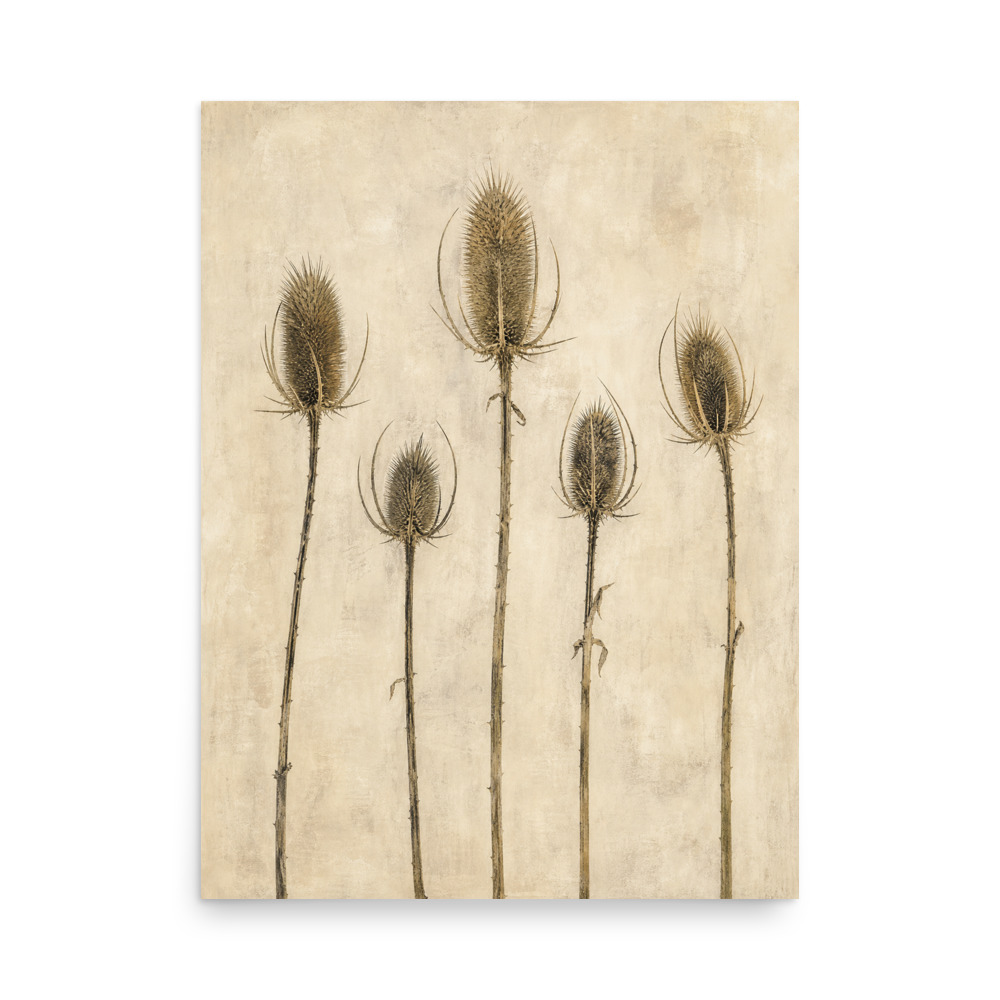 Teasel Choir — botanical art print by Frame & Field